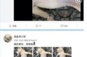 解剖活狗视频在线观看,动物解剖的真实过程