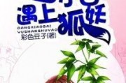 吃瓜小白小说完整版免费阅读,揭秘娱乐圈背后的秘密