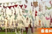 何奕恋视频在线观看,揭秘明星背后的真实情感世界
