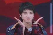 娱乐圈吃瓜华晨宇,娱乐圈的瓜田，他如何成为焦点？
