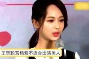 圈内爆料杨紫王思聪,娱乐圈的跨界火花