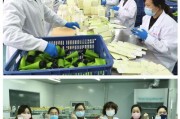 石家庄医护爆料事件视频,真相与反思的交锋