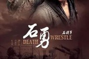 石将军石勇在线观看,传奇英雄的在线传奇之旅