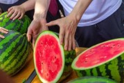 武汉大学生免费吃瓜,学子免费畅享夏日清凉瓜果盛宴”