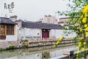 青果巷在线观看,穿越时空的江南水乡风情之旅